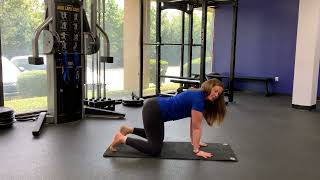 Quadruped Progression
