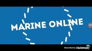 INTERNATIONAL MARITIME DANGEROUS GOOD (IMDG ) CODE