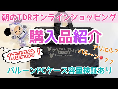 Haul 朝のディズニーオンラインショッピング1万円分 購入品紹介 バルーンモチーフpcケース容量検証あり Youtube