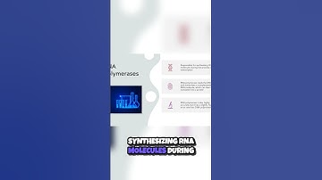 Unraveling RNA Polymerase  The Transcription Maestro 🎶
