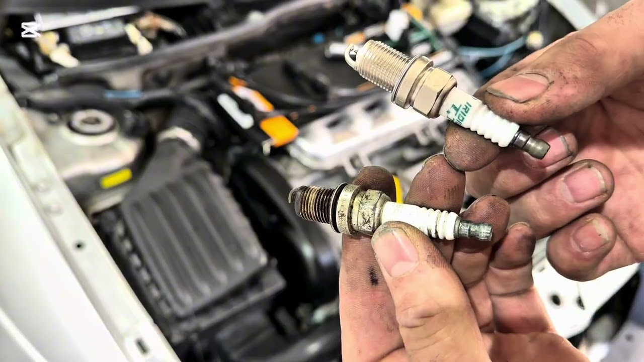 Mali Servis Opel Tigra a 1.6 16v (project auto)