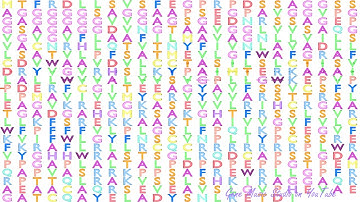 Gene Music using Protein Sequence of ADRA1D "ADRENOCEPTOR ALPHA 1D"