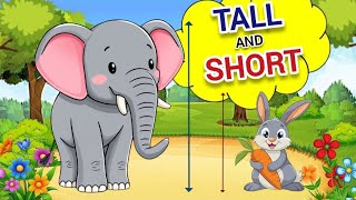 Tall &amp; Short | Fun Educational Video for Nursery and LKG Kids - Kids World 