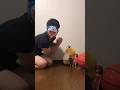 ピクミンの歌にあわせてメンバー発表 #shorts #ピクミン