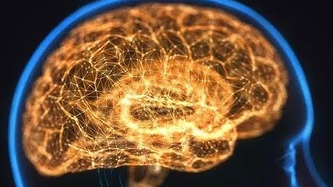 Scientists make revolutionary find that could erase bad memories from your brain