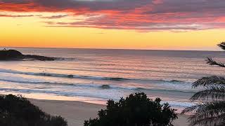 12 08 2026 Sydney Surf Report Freshwater Beach Australia