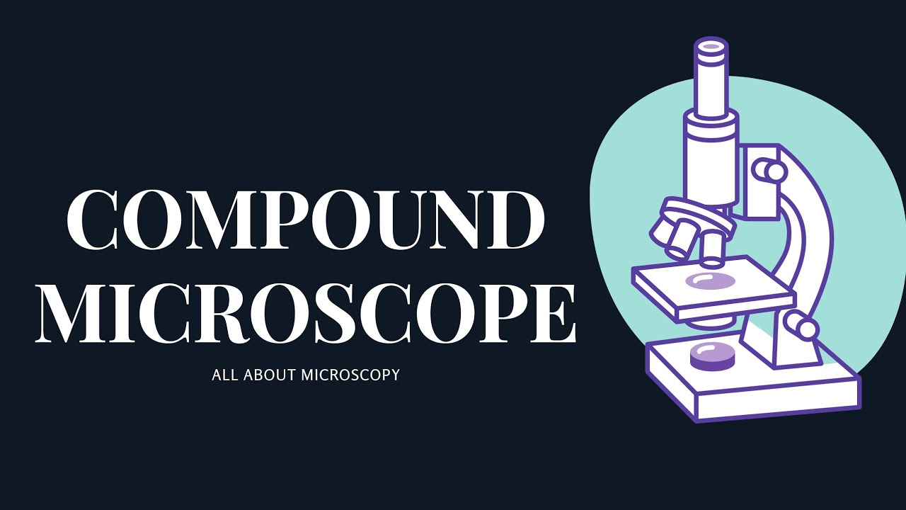 All About Compound Microscope | Biology Practical | Microscopy ...