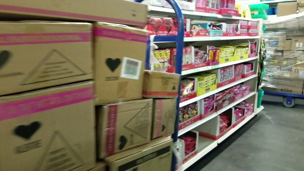 4K Valentines Day Items in December at Dollar Tree !?! + Squishies! Tickets To Toy Time awesome oscillator