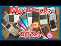 My apple ipod hoard in 2024  how many is too many