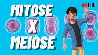 MITOSE E MEIOSE - Diferenças | Animação