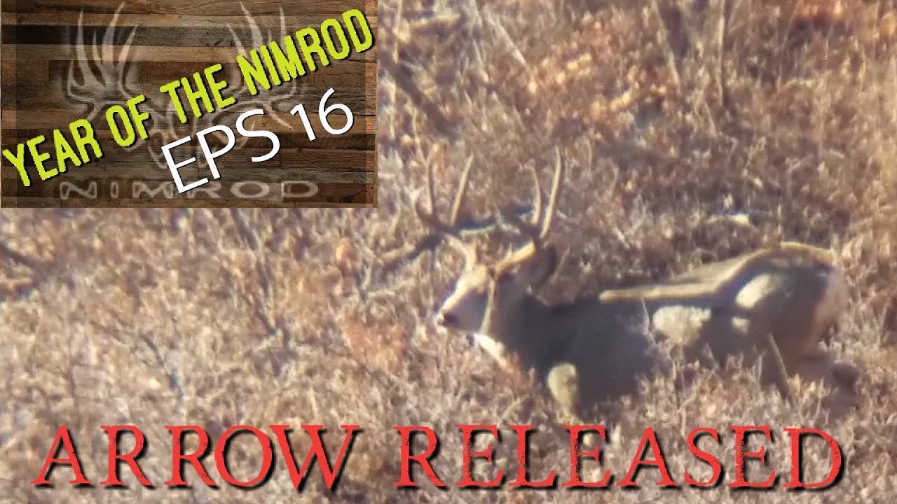 "Arrow Released" 2018 Utah Extended Archery Year of the Nimrod Eps 16