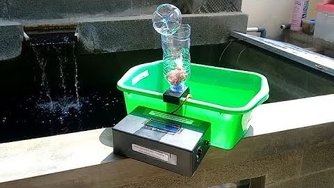 Pakan Ikan Otomatis Menggunakan Sensor RTC DS3231 dan Servo Berbasis Arduino Uno.