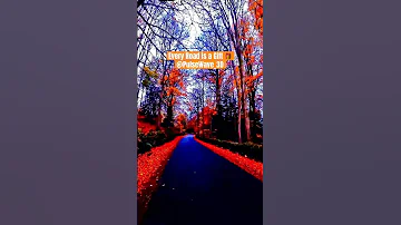 Every Road Is A Gift El Regalo Mayel Jimenez 
