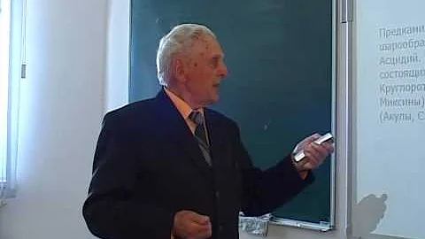 Соломатин А.О. Класс круглоротые