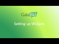 Creating a Widget Page For My Fundraiser Campaign