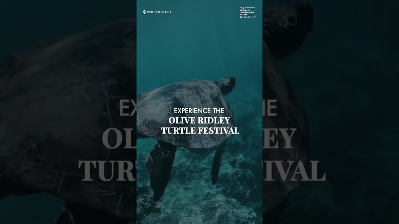 DISCOVER A LAND OF BREATHTAKING VIEW AT ANJARLE