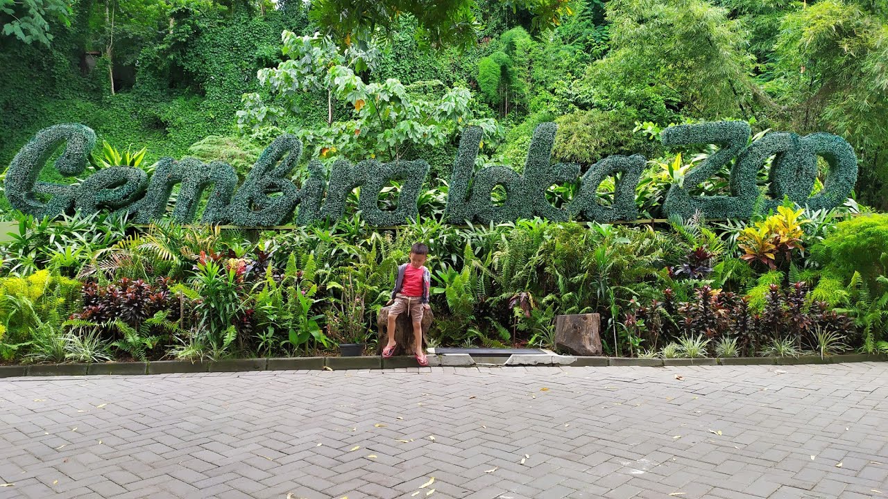 VIKHO ARFDHA - EXPLORE GEMBIRA LOKA ZOO JOGJA - YouTube