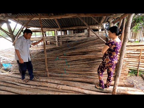 Video Vào Trại Mua Cây Bạch Đàn Để Về Làm Nhà Bếp - Hương Vị... - youtube