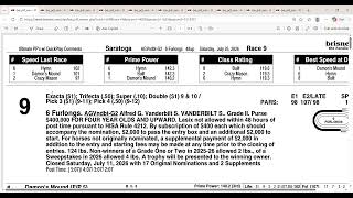 2026 Alfred G. Vanderbilt Stakes Analysis and Picks | Saratoga