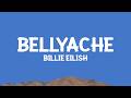 BillieEilish Bellyache Lyrics mp3