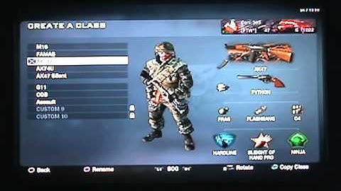 Black ops My personal class setup.