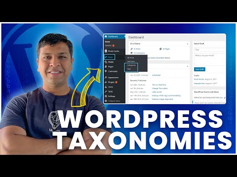 How to Transfer Taxonomies from Sitecore to WordPress: Everything You Need to Know