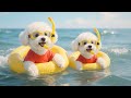 Beach Adventures With a Fluffy Puppy &amp; Loving Mom Dog 🏖️💛Puppy’s Unforgettable Day Out 🐶🌊