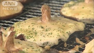“国内最大”のグルメ祭典　一番人気は“シイタケ”(17/05/19)