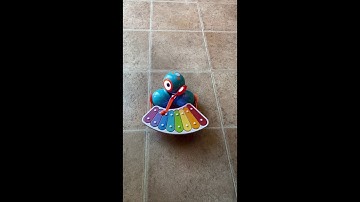 Dash Xylo Guessing Game 6