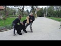 BLACK RUSSIAN TERIER LUIS- BODYGUARD TRAINING