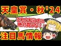 【天皇賞・秋2024】豪華メンバー集結！！秋古馬3冠！！初戦を制するのはコイツだ！！知らないと損をする注目馬の情報！！
