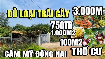 Anh thành kẹt tiền, bán gấp vườn đủ loại trái cây, thổ cư 100m2, cẩm mỹ đồng Nai
