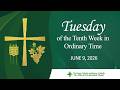 Tuesday of the Tenth Week in Ordinary Time