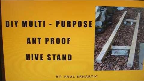 BUILD A NO ANT HIVE STAND (3 STEP VIDEO) [Updated Video]