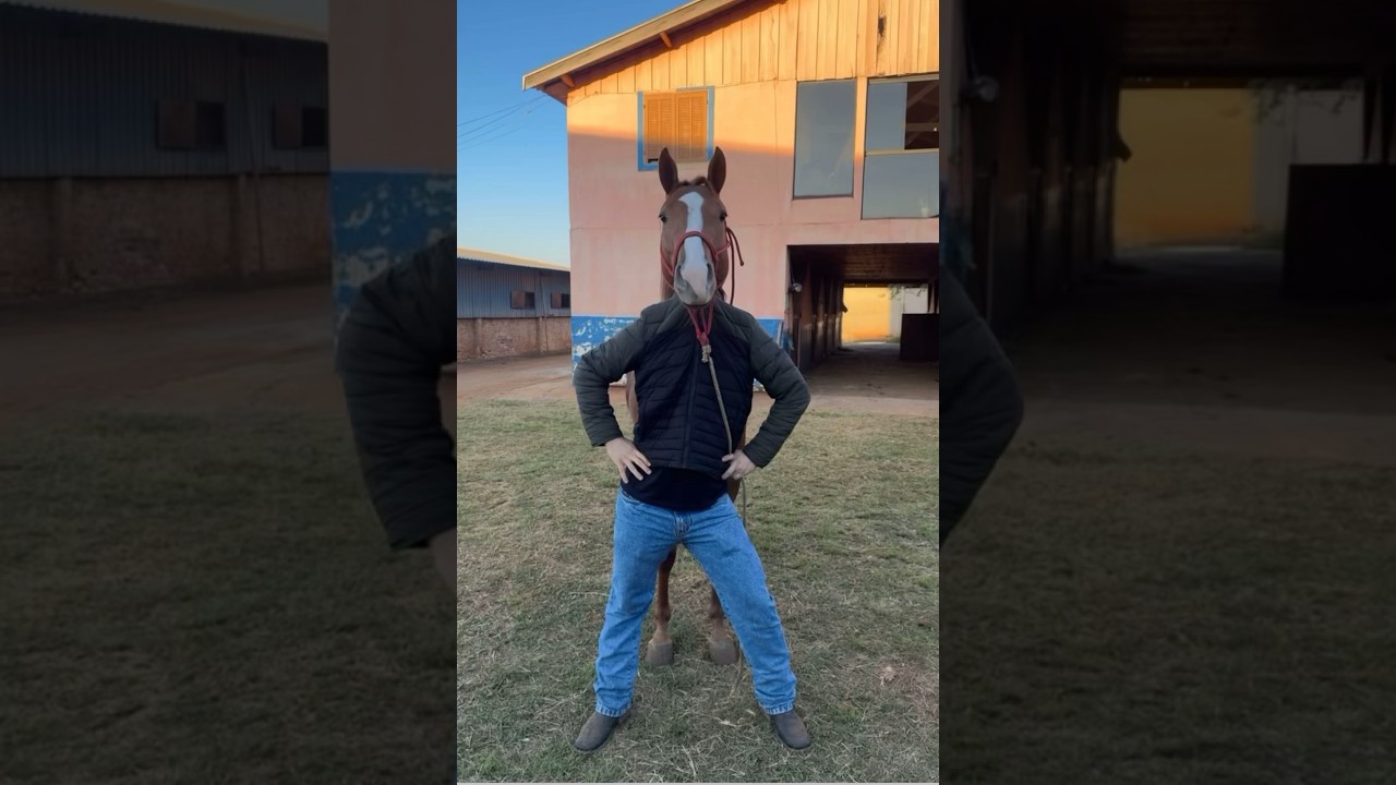 Macarena Horse 🤠 