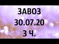 🌸Продажа орхидей. ( Завоз 30. 07. 20 г.) 3 ч. Отправка только по Украине. ЗАМЕЧТАТЕЛЬНЫЕ КРАСОТКИ👍