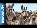 Alma egyttes khumba dal rajzfilm gyerekeknek filmzene  mese tv