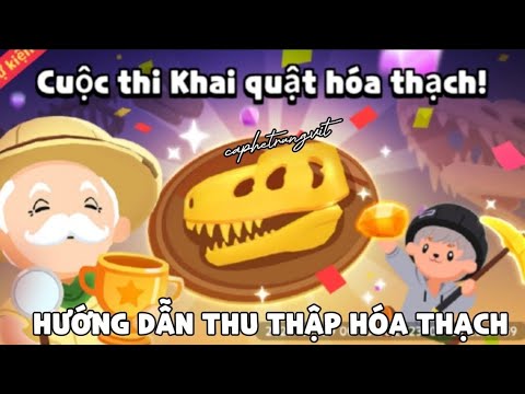 TỔNG HỢP 3 CÁCH TĂNG TỈ LỆ HÓA THẠCH VÀ ĐÁ HỔ PHÁCH TRONG PLAY TOGETHER