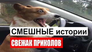 Клюква ТВ Приколы   ПРИКЛЫ кубы 2020 тест на психику