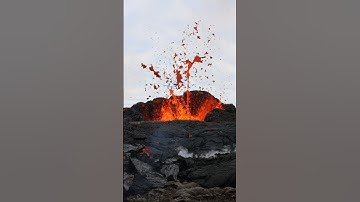 Surat El Zalzalah | سورة الزلزلة