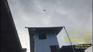 rbw mini respon selow di musim kemarau....si.panggil Er 527 #