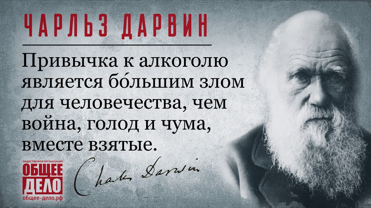 Что сказал дарвин. Дарвин портрет. Что сказал дарвин. Дарвинизм. Дарвинизм.
