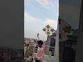 Kite looting 😱🪁#kitelooting#kite #patang #kiteflying #patangkite #youtubeshorts