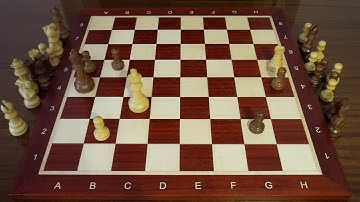 Selected Brilliant Chess Puzzles! No. 21
