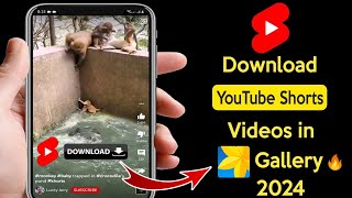 How To Download Youtube Shorts Video In Gallery? 2024 How To Download Youtube Shorts Video 2024