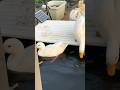 Duck so cute pet #duck #mypetdn #pertenakan #petduck #funny #birds #animals #cute #nature #memes
