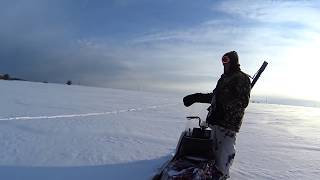 картинка: ПРОВЕРКА КАПКАНОВ/ПРИШЛИ ВОЛКИ.