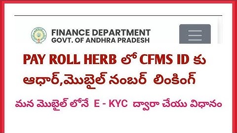 HOW TO LINK PENSIONERS, EMPLOYEES AADHAR  TO CFMS ID IN PAYROLL || #adharcfmsidlink #cfms #adharlink