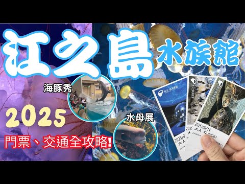 來江之島不要錯過這裡！日本最夢幻水族館????自由行必去景點 |Seafood Life