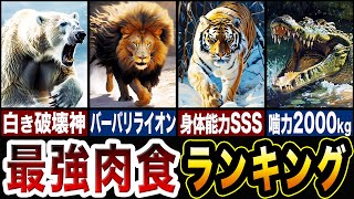 【対決】陸上最強の動物は誰だ…!?陸上の肉食動物TOP5をランキング形式で紹介【ゆっくり解説】